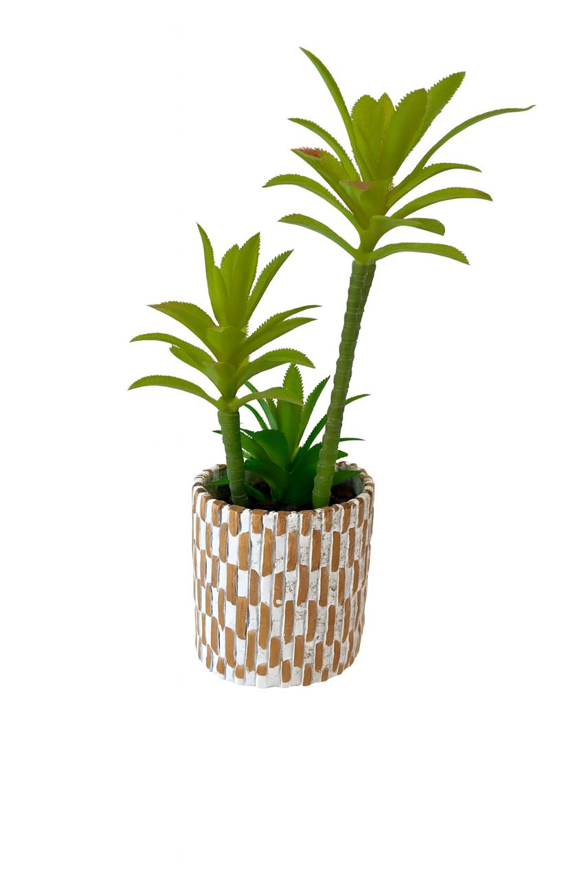 Artificial Succulent in Textured Pot