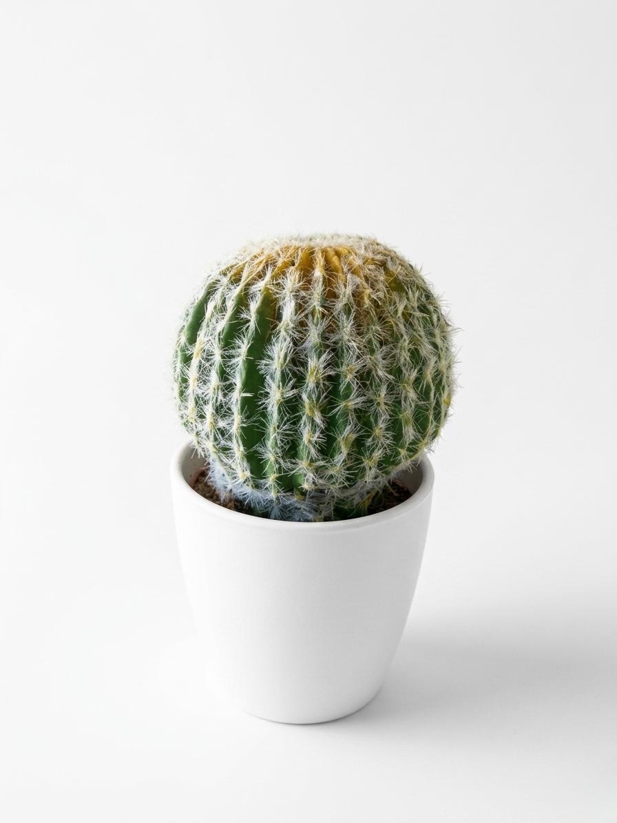 Artificial Cactus Plant in White Decorative Pot