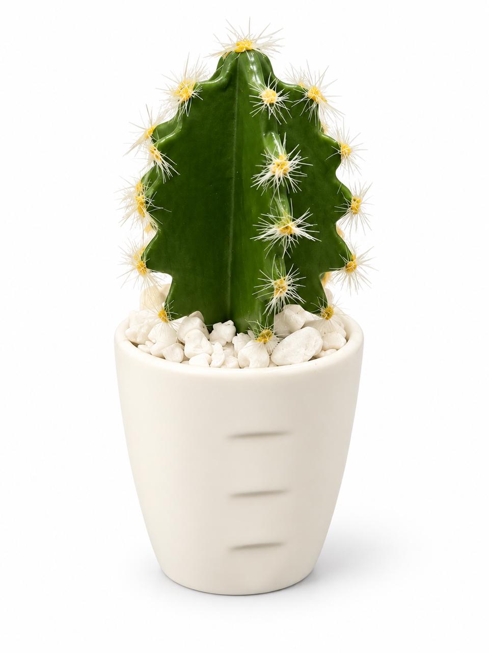 Decorative Potted Cactus