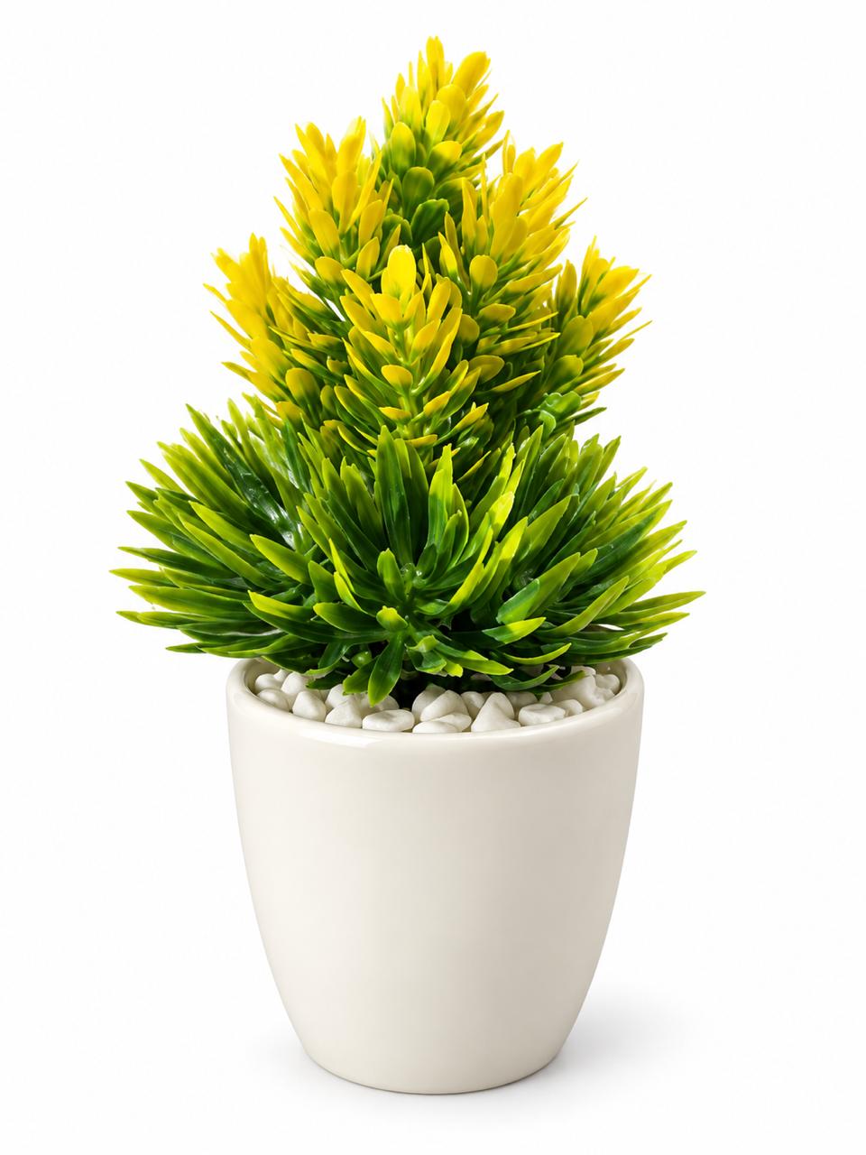 Decorative Yellow-Green Potted Plant