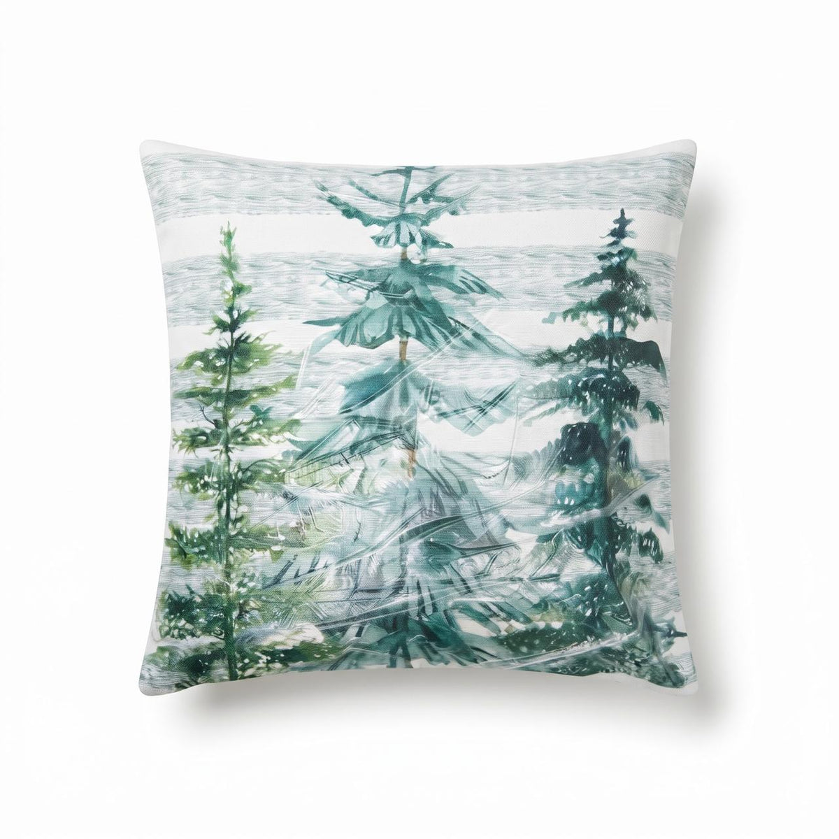 Winter Cushion on white background