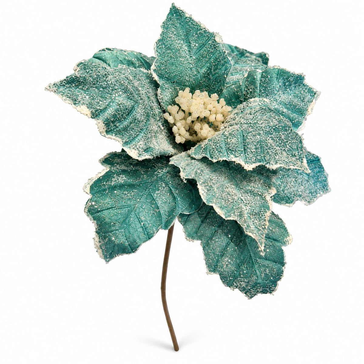 Winter Bloom on white background