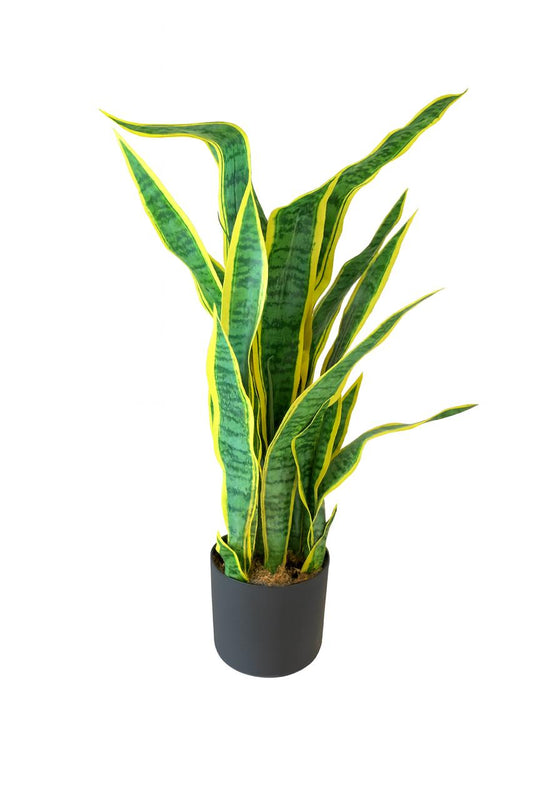 Artificial Snake Plant (Sansevieria) in Black Pot