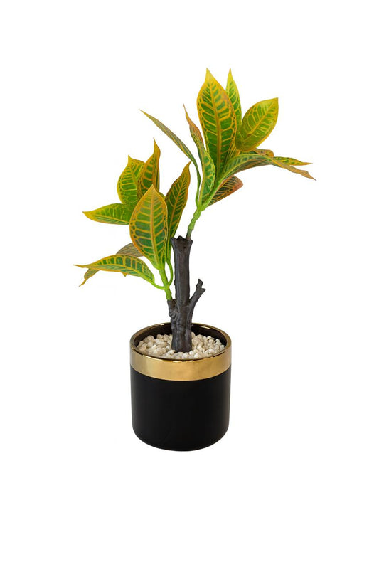 Artificial Croton Plant in Black & Gold Pot