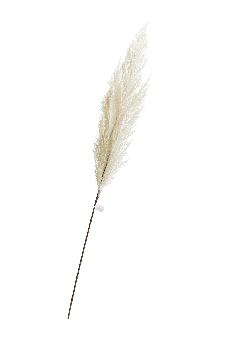 Beige Pampas Grass Stem