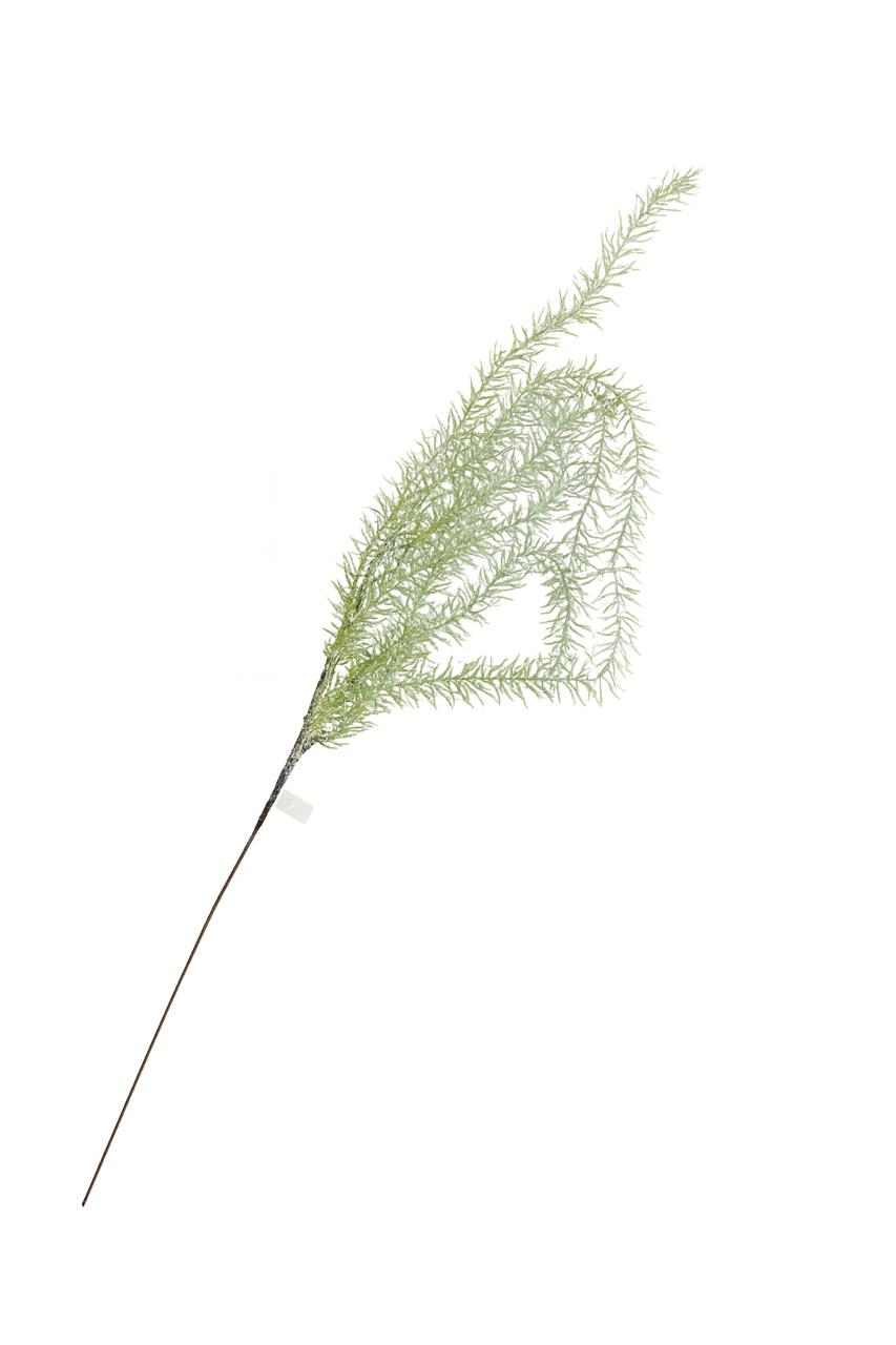 Light Green Decorative Grass Stem