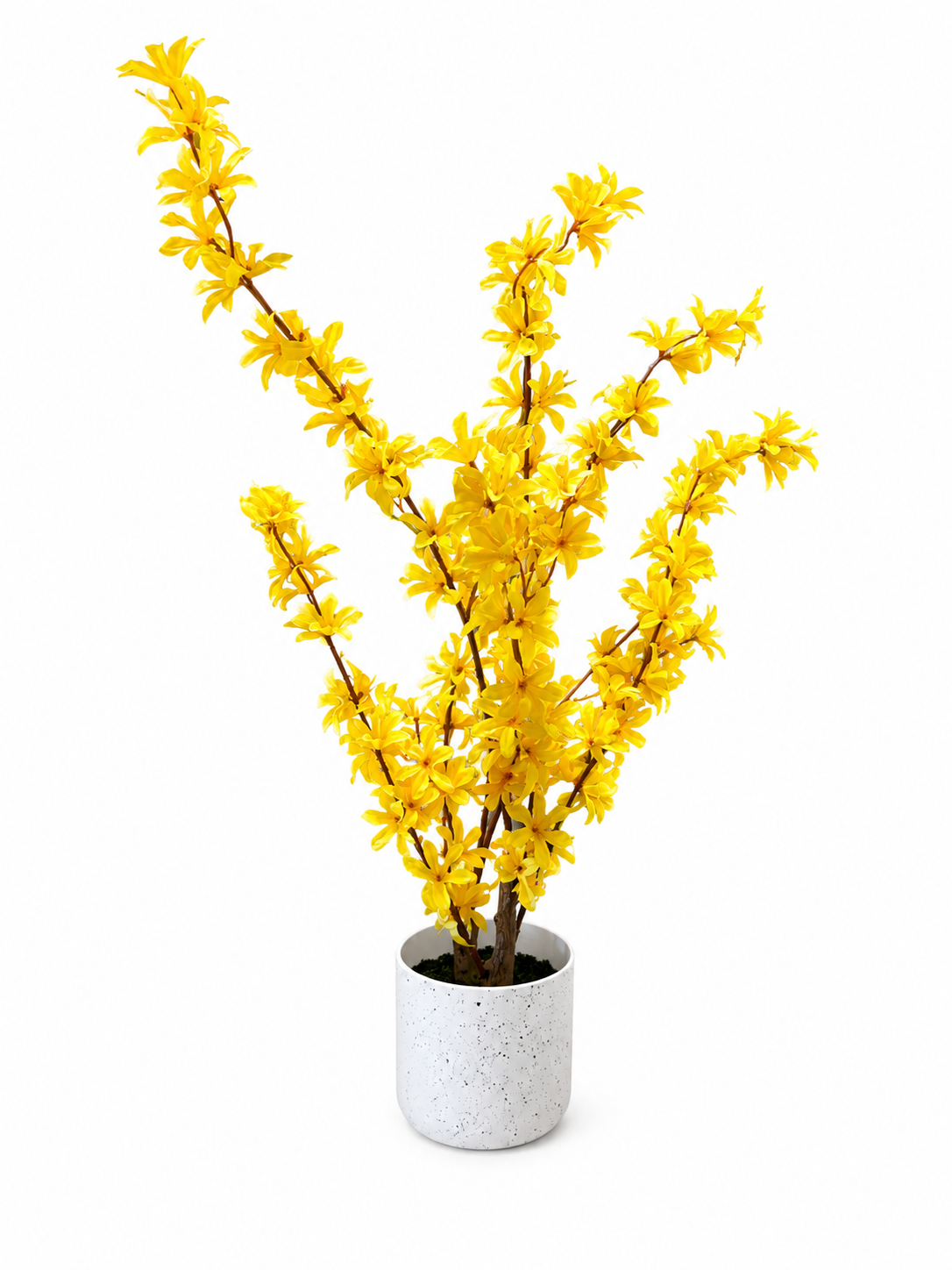 Artificial Yellow Blossom Plant in Decorative Pot (70cm)