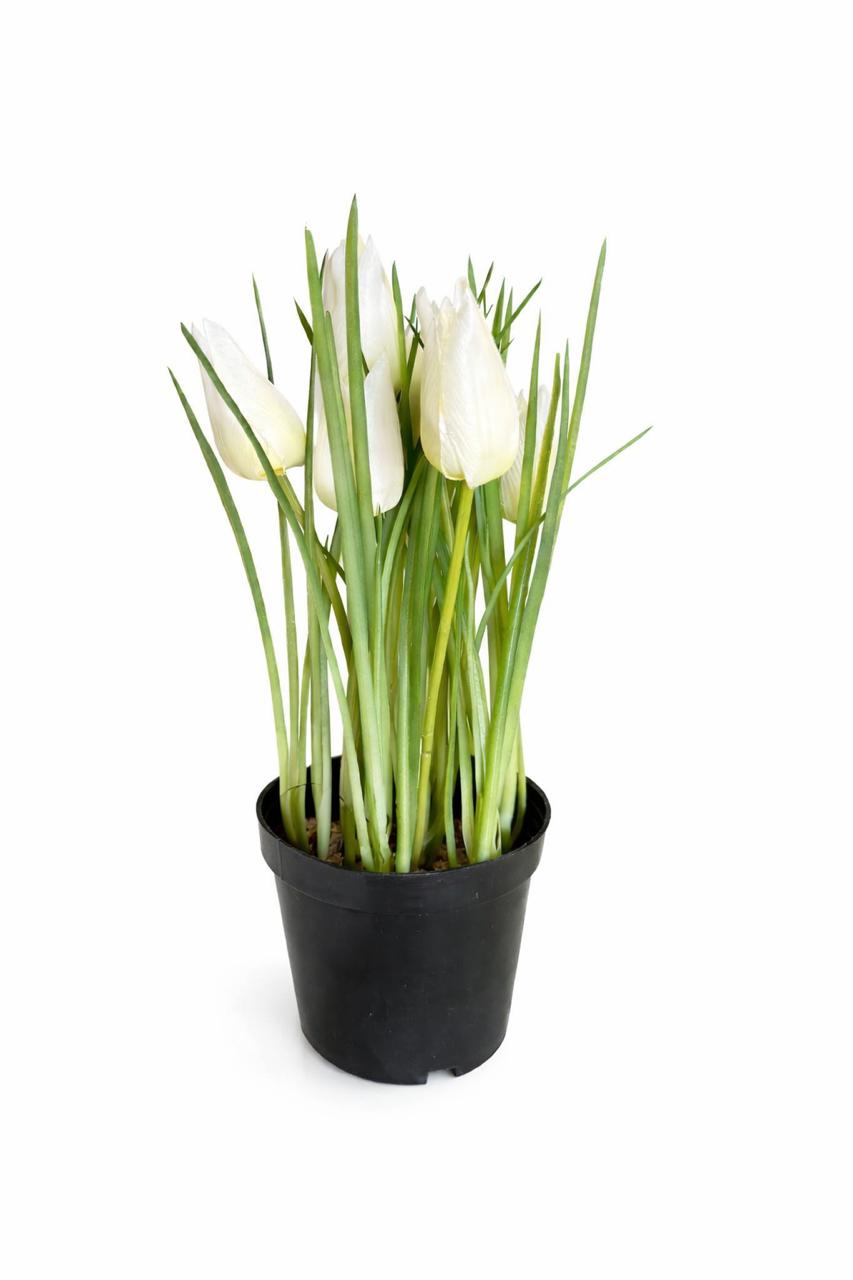 White Tulip Artificial Plant in Black Pot