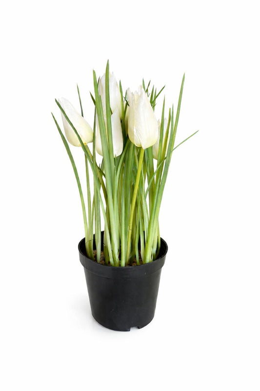 White Tulip Artificial Plant in Black Pot