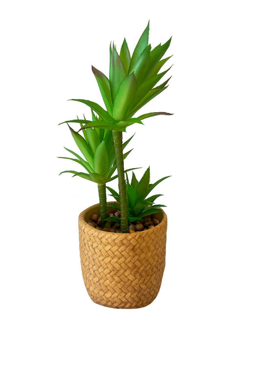 Artificial Succulent in Woven Basket Pot