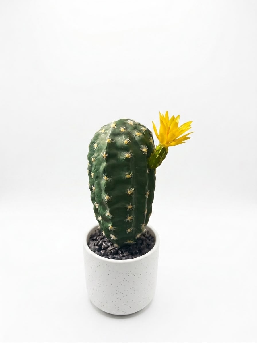 Artificial Cactus Plant in Decorative Pot (25cm)