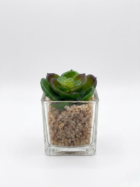 Artificial Succulent Plant in Glass Decorative Pot