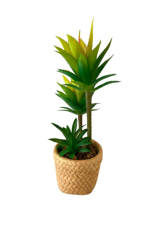 Artificial Succulent in Basket-Style Pot