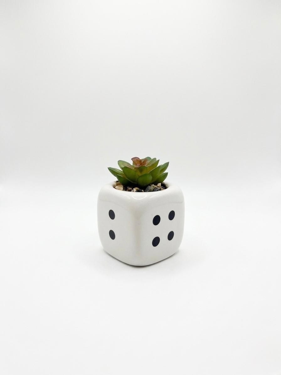 Dice-Shaped Mini Plant Pot