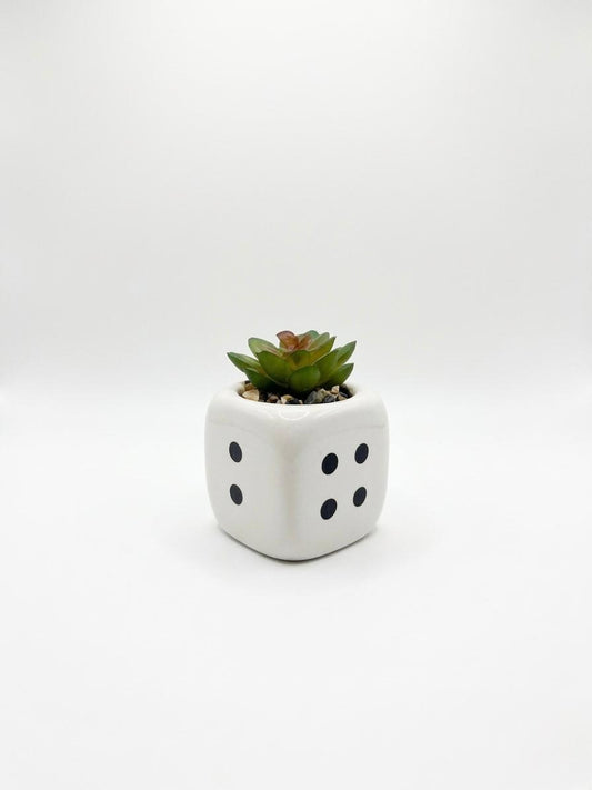 Dice-Shaped Mini Plant Pot