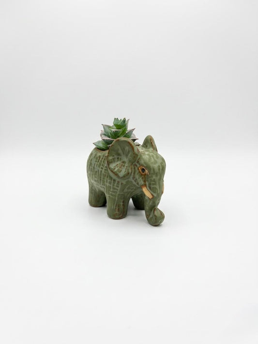 Elephant-Shaped Mini Plant Holder