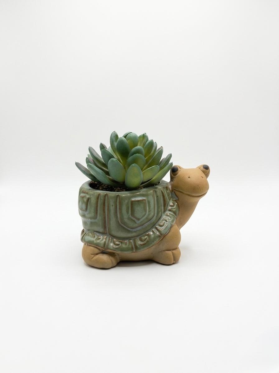 Turtle-Shaped Mini Plant Holder