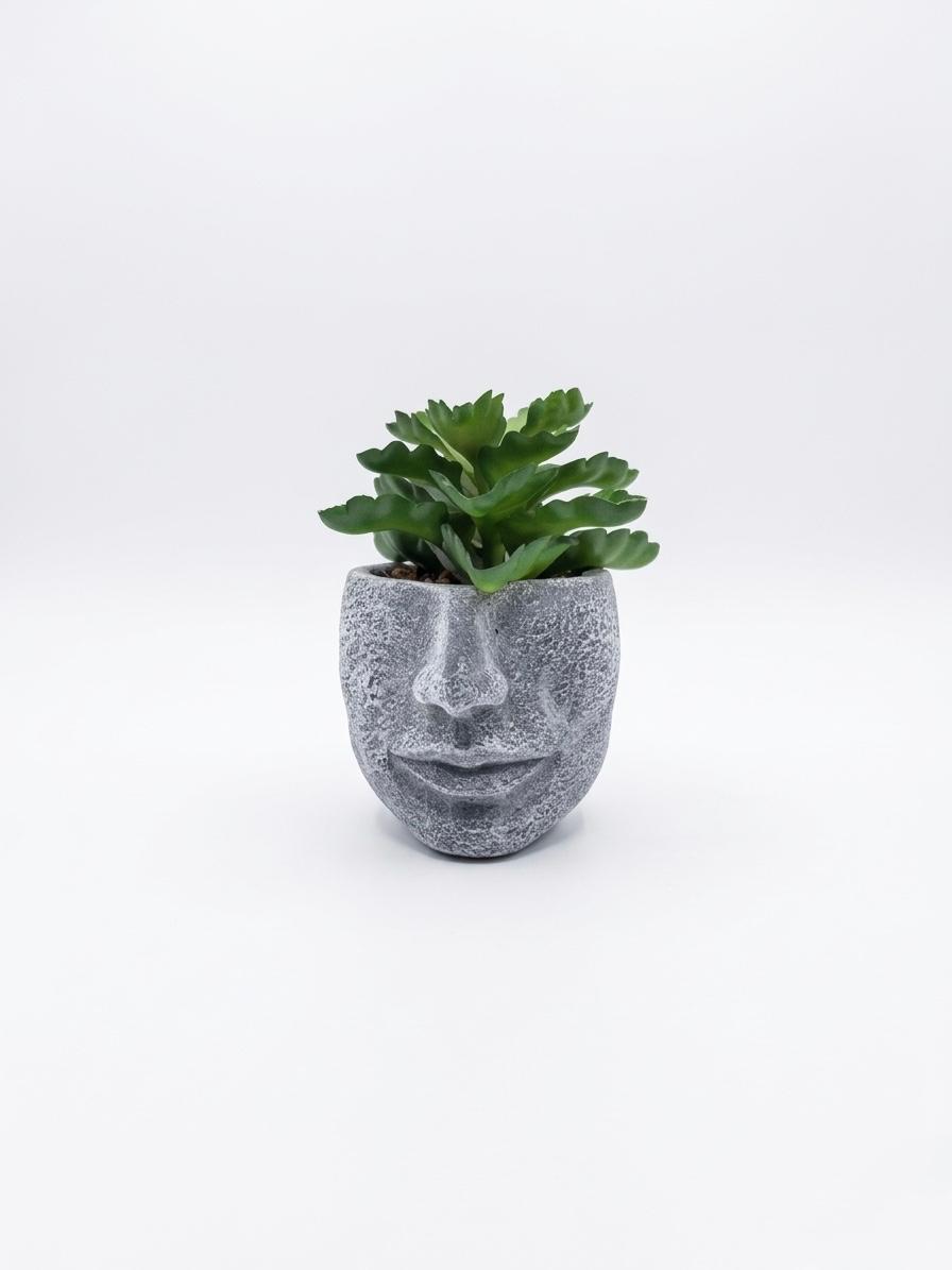 Face-Shaped Mini Plant Holder