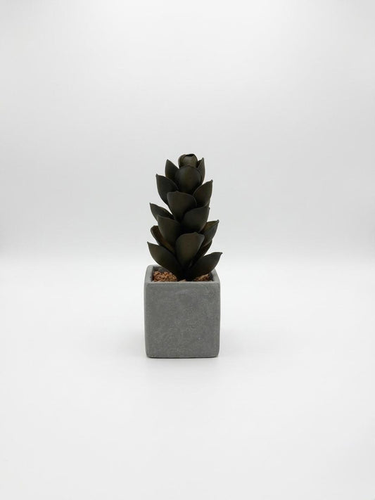 Minimalist Square Plant Vase