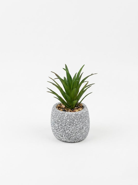 Mini Decorative Plant Vase