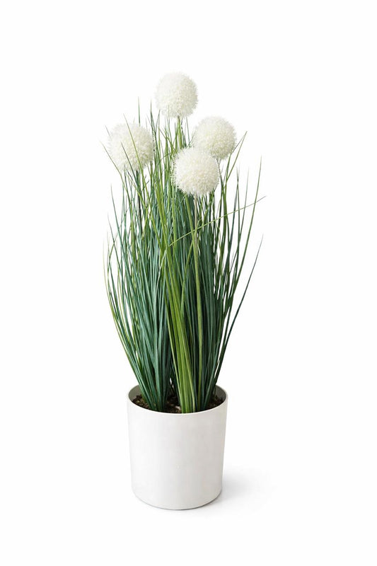 Artificial White Allium Plant in Decorative Pot