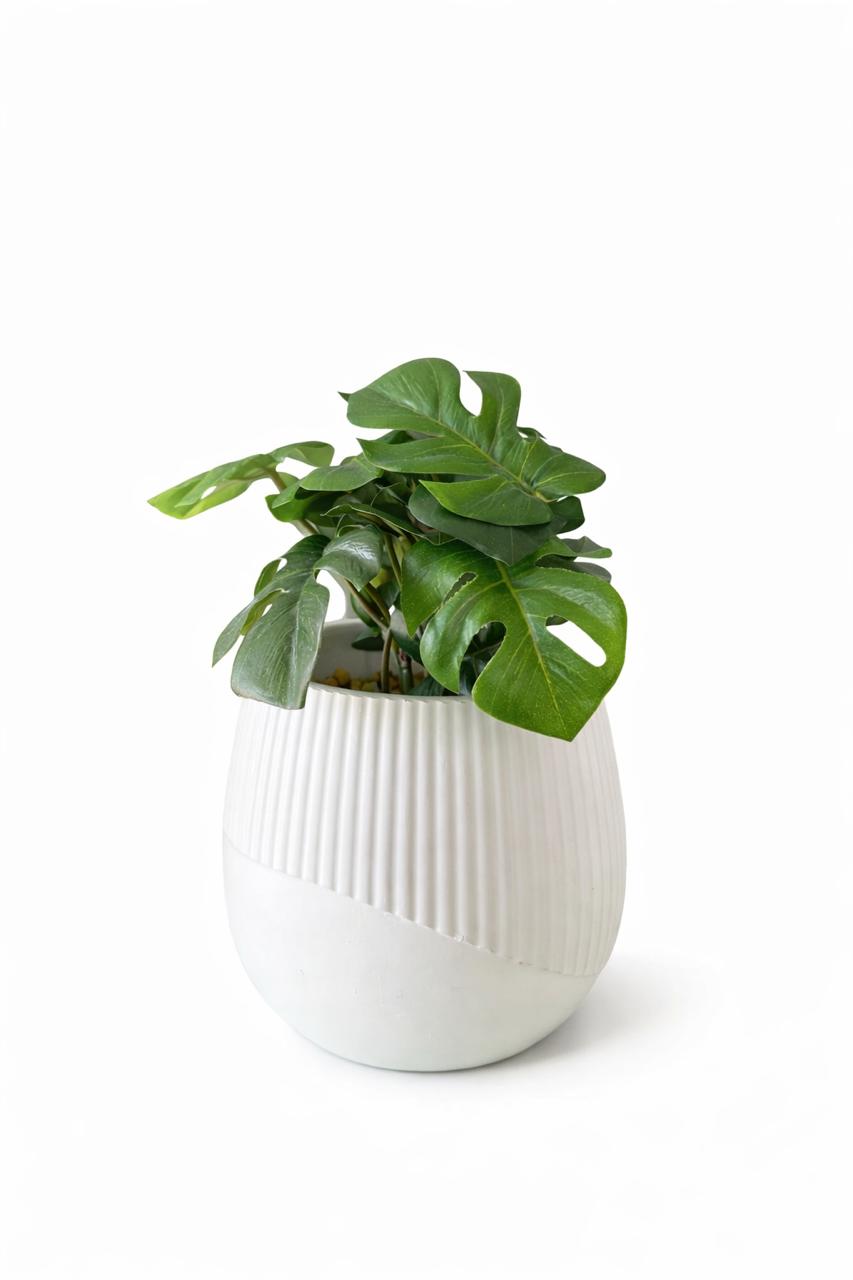 Artificial Monstera Plant in Textured Decorative Pot