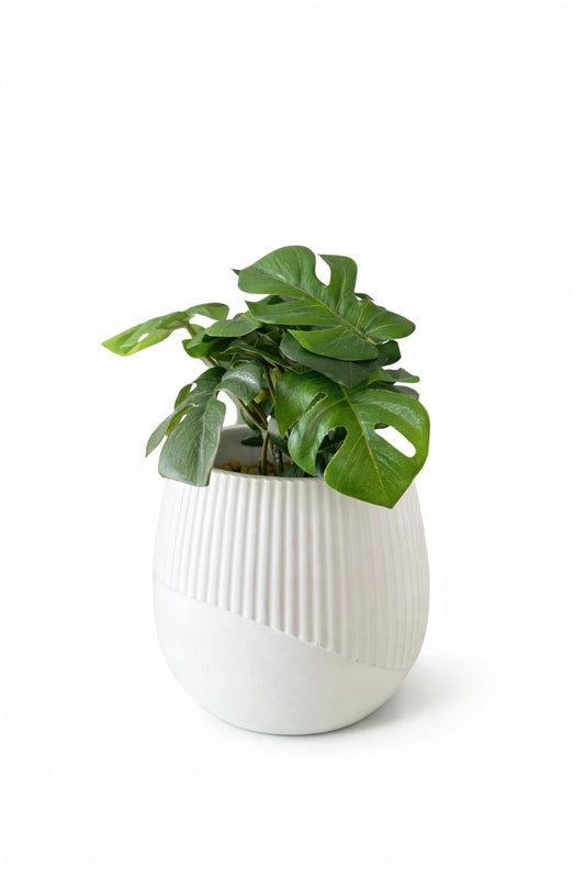 Artificial Monstera Plant in Textured Decorative Pot
