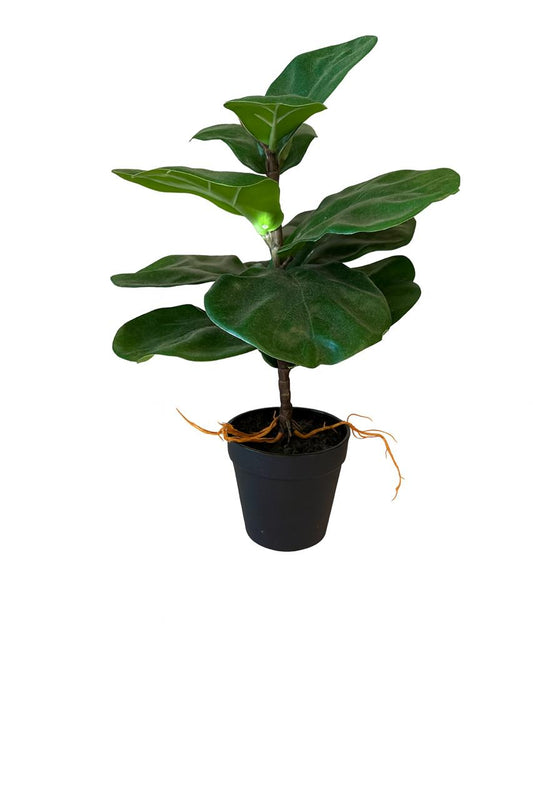 Artificial Fiddle Leaf Fig in Black Pot