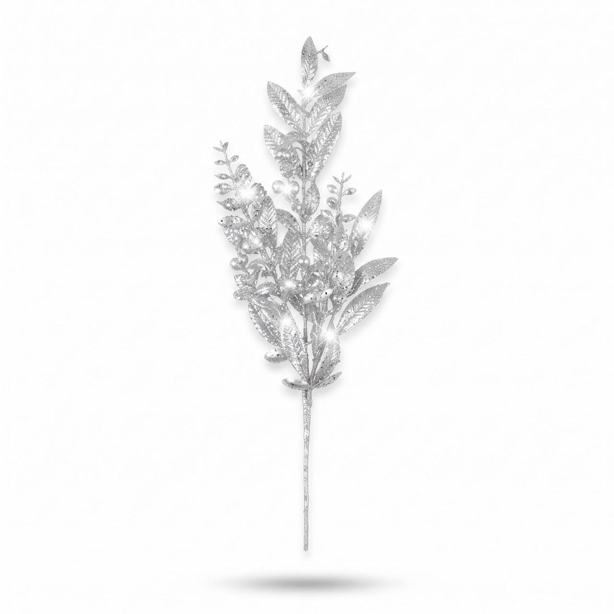 Holiday Branch on white background
