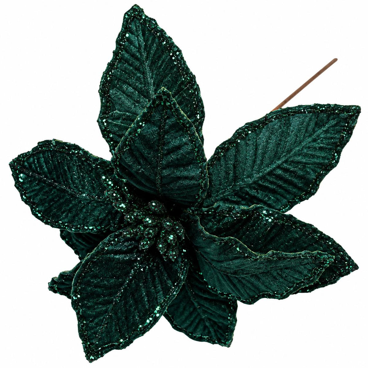 Evergreen Pick on white background