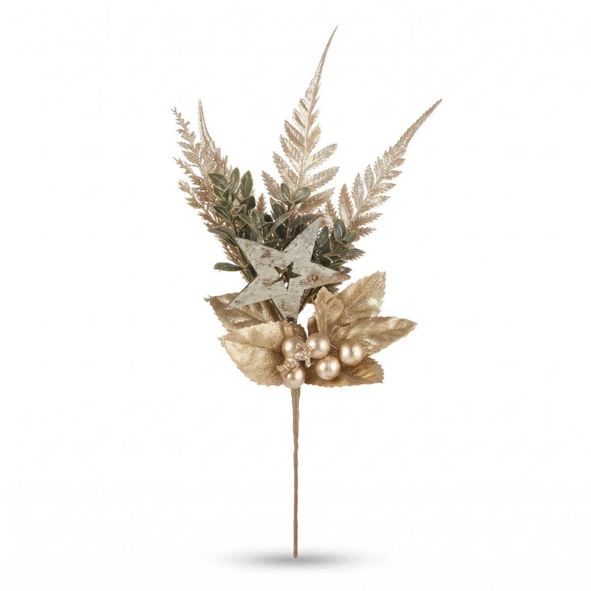 Star Stem on white background