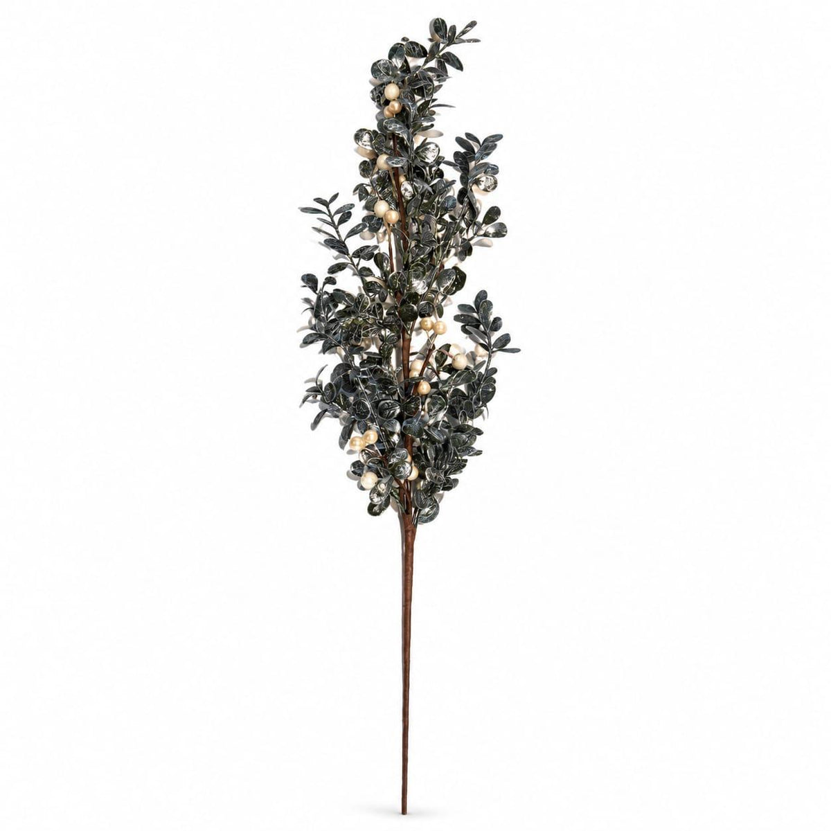 Foliage Stem on white background