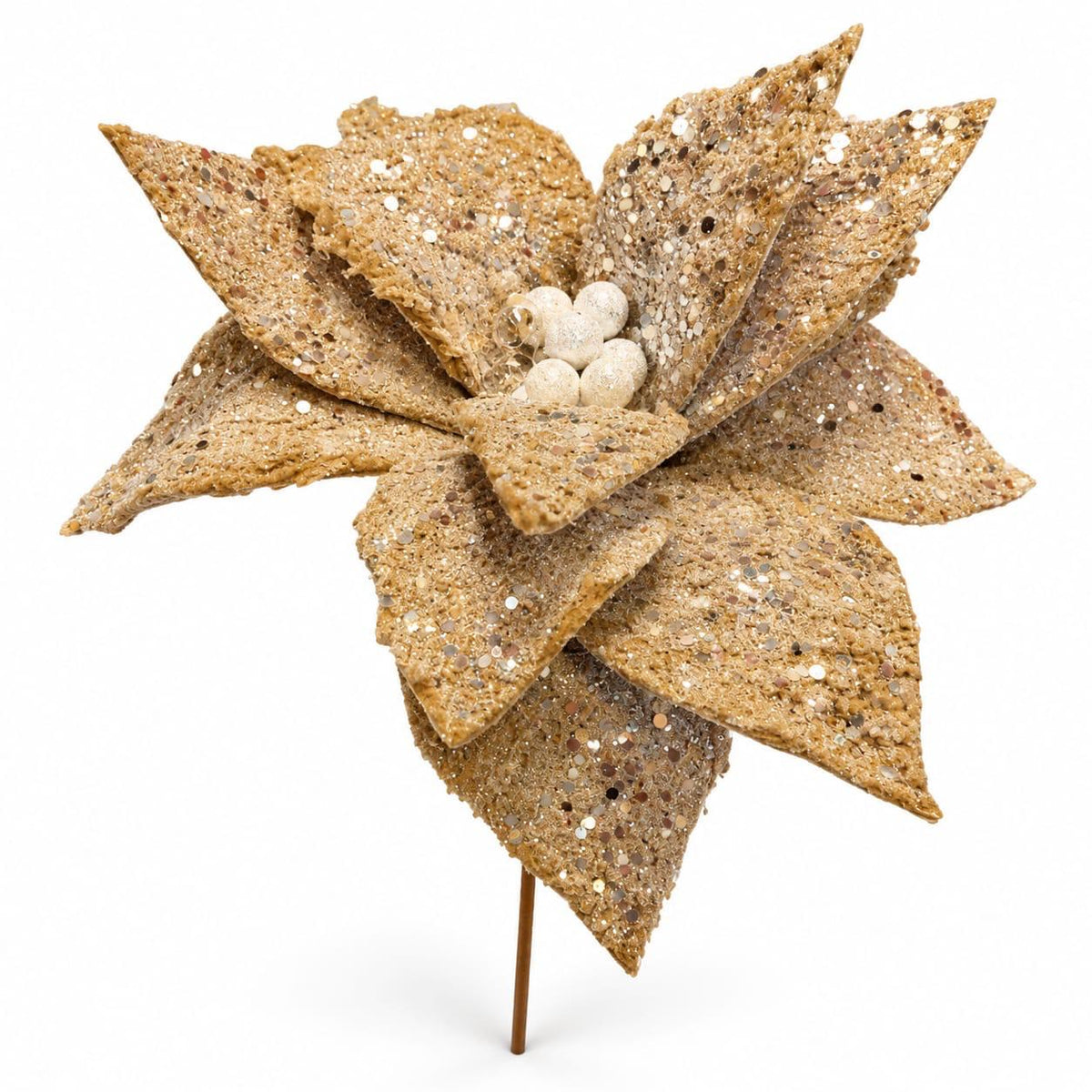 Glitter Bloom on white background